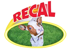 recal.a1web.dev